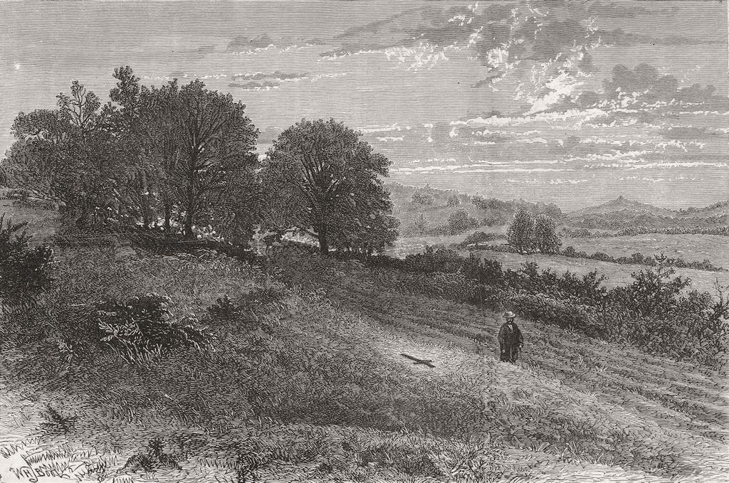 EVERSHED'S ROUGH. Bishop of Winchester accident 1873 old antique print picture